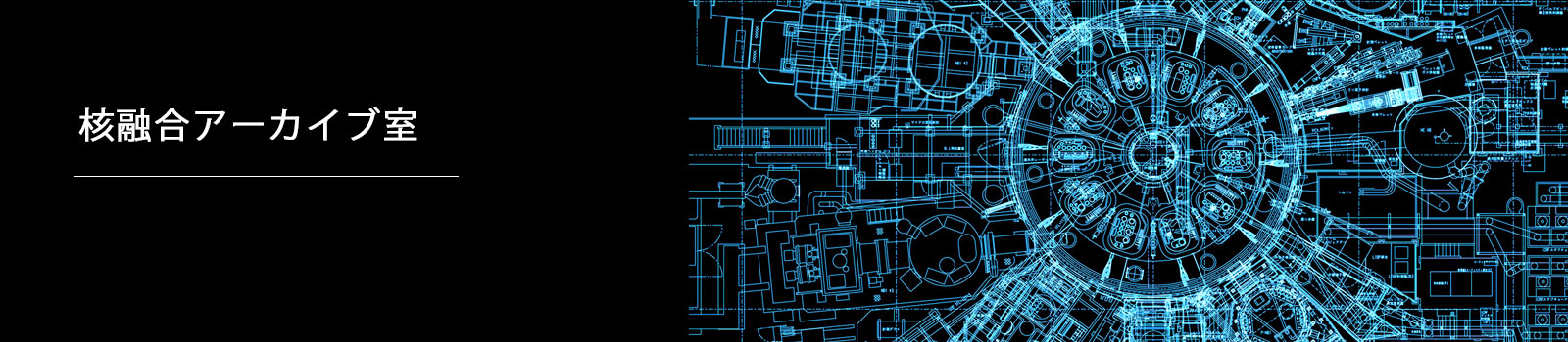 アーカイブ室/核融合科学研究所