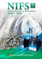 NIFS official pamphlet