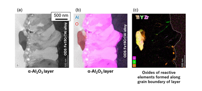 α-Al2O3 Protective Layer That Sticks to Metal Surface with Functions of an Anchor and Peg