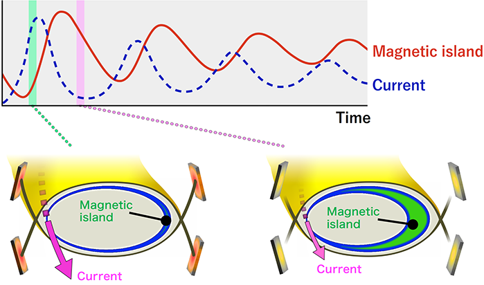 Competitive relation between magnetic island and localized plasma current derived with the predator-prey mode