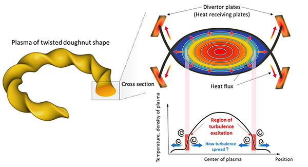 Fig. 1 Schematic of LHD plasma.