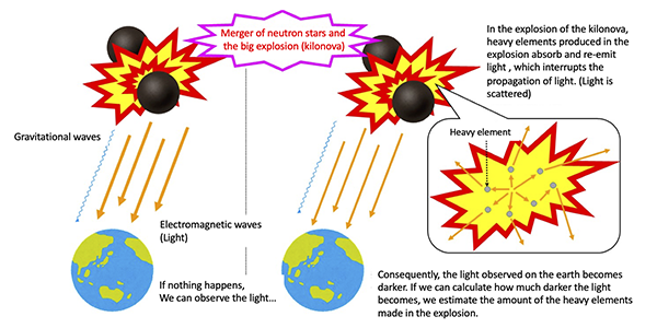 Fig.1 Schematic of absorption and reemission of light by heavy elements in the kilonova