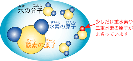 水の中の分子・原子たち