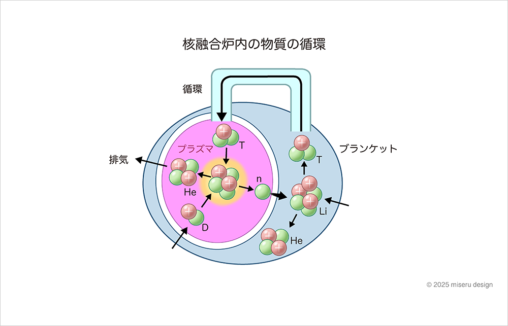 核融合炉内の物質の循環