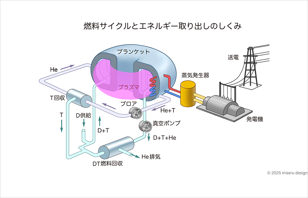 燃料サイクルとエネルギーの取り出しのしくみ