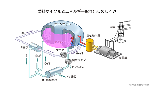 燃料サイクルとエネルギーの取り出しのしくみ