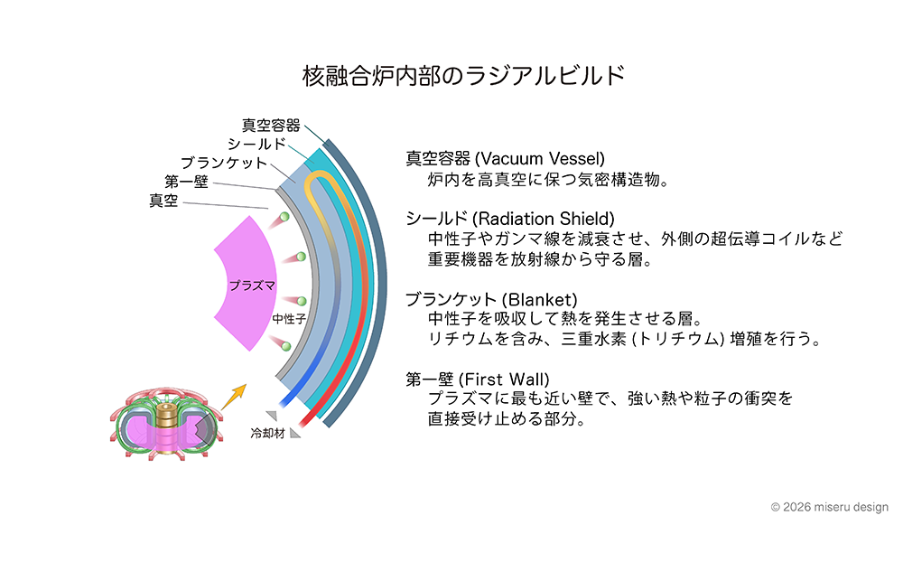 核融合炉内部のラジアルビルド