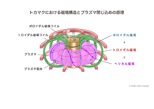 トカマクにおける磁場構造とプラズマ閉じ込めの原理