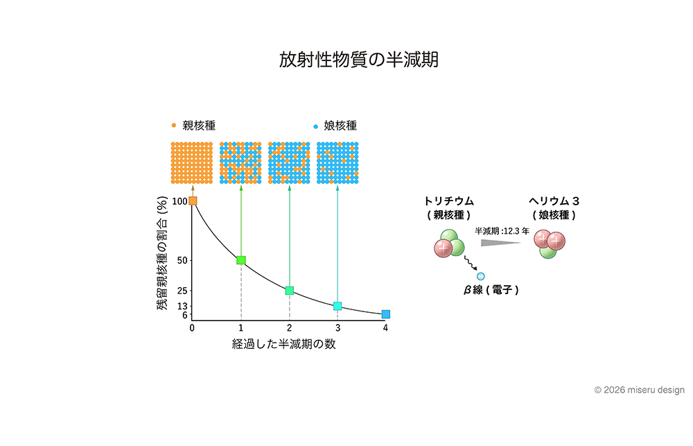 放射性物質の半減期