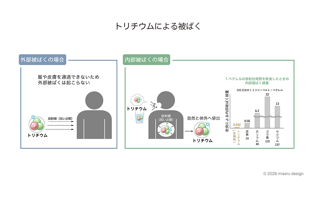 トリチウムによる被ばく