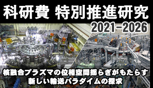 核融合プラズマの位相空間揺らぎがもたらす
新しい輸送パラダイムの探求