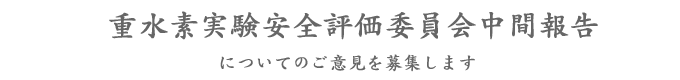 重水素実験安全評価委員会中間報告