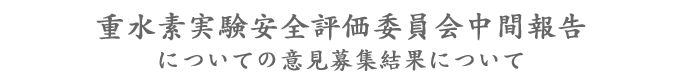 重水素実験安全評価委員会中間報告についての意見募集結果について