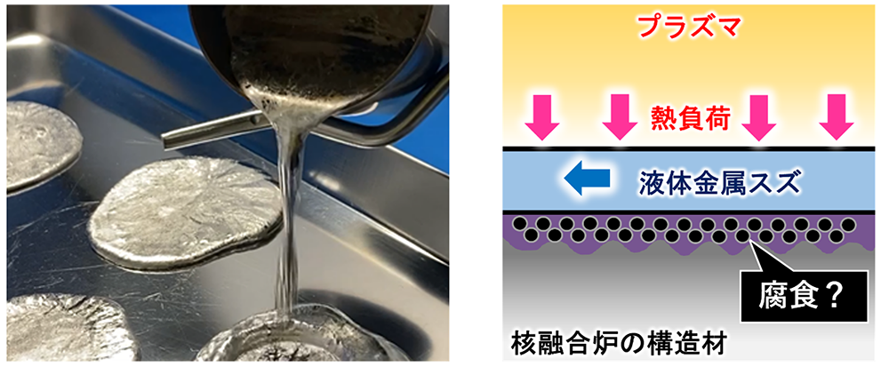 液体金属スズ（左）を利用した先進ダイバータの概念図（右）　（東京工業大学　提供）