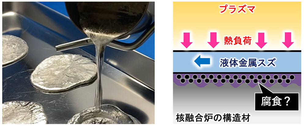 液体金属スズ(左)を利用した先進ダイバータの概念図(右) (東京工業大学 提供)
