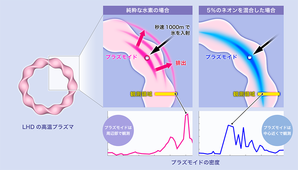 図 純粋な水素と5パーセントのネオンを混合した水素の場合のプラズモイドの挙動