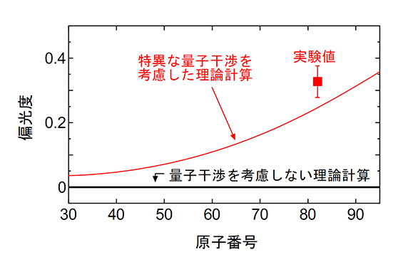 図 偏光度の計算と実験結果の比較