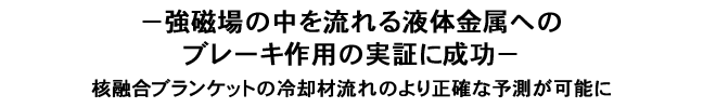 －強磁場の中を流れる液体金属へのブレーキ作用の実証に成功－核融合ブランケットの冷却材流れのより正確な予測が可能に