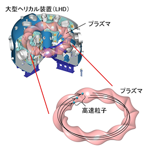 図1LHDと高速粒子の模式