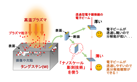 図1プラズマとタングステン表面との相互作用（左）と表面の極近傍断面の観察（右）の模式図