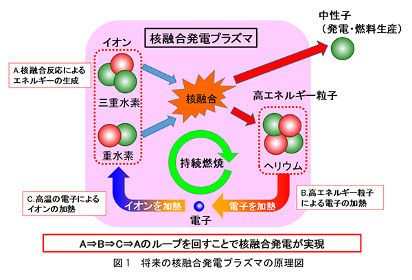 図1　将来の核融合発電プラズマの原理図