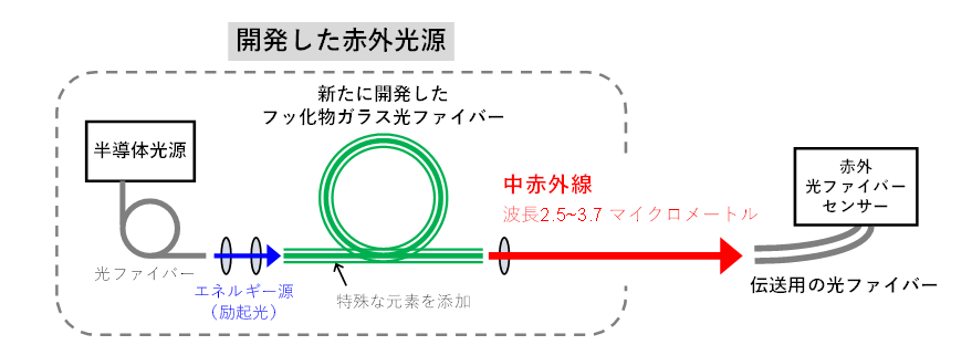 図１　開発した赤外光源の概略図（左）
