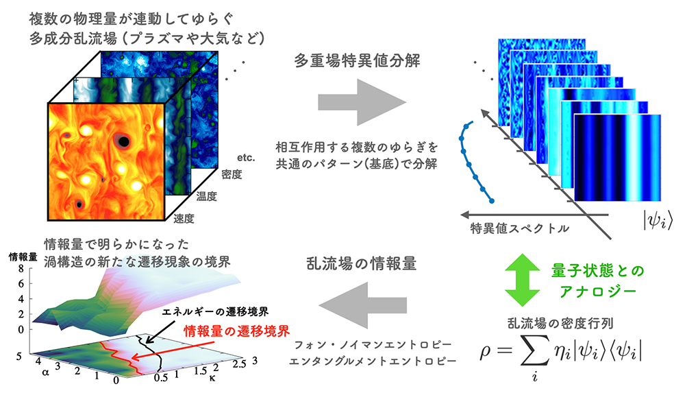 もつれ合うプラズマの渦と流れを『情報』で読み解く～量子情報理論にヒントを得た乱流構造の解析手法～