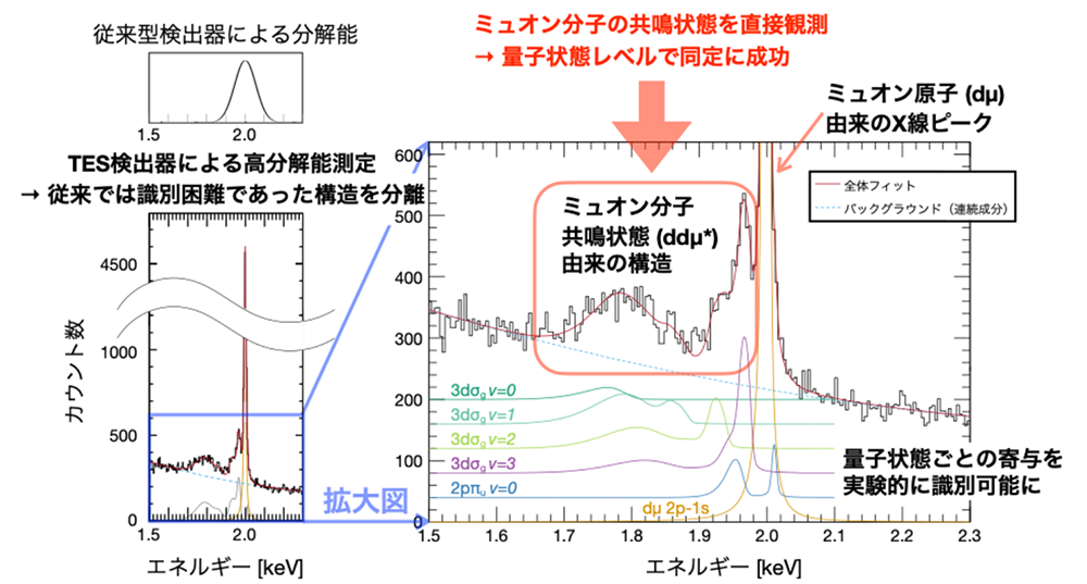 図1 ミュオン分子の共鳴状態の直接観測