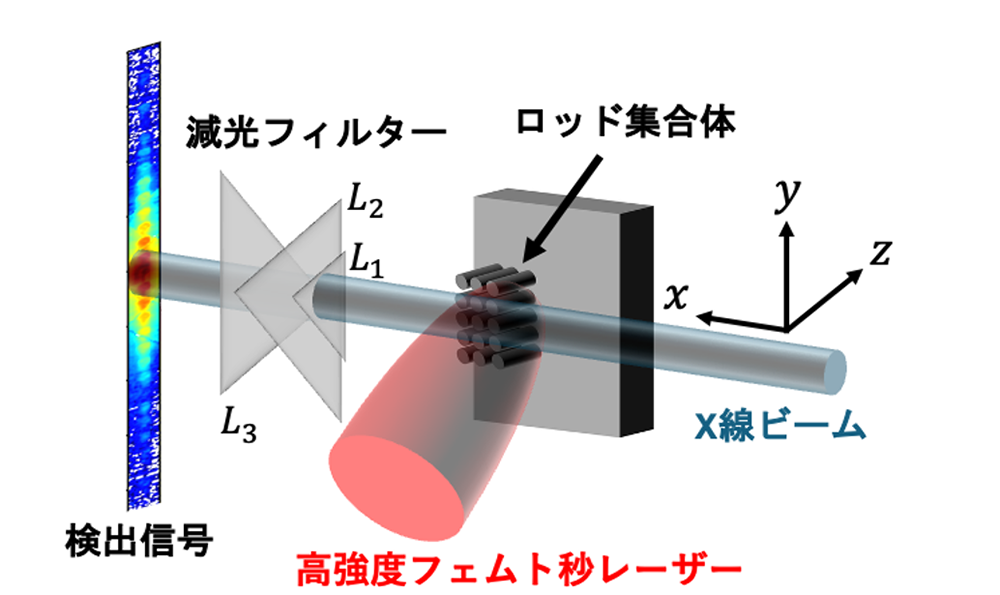 図１. 高強度フェムト秒レーザーによる微細ロッド集合体ターゲットのプラズマ化ダイナミクスに対するX線自由電子レーザーを用いた観測実験の概念図。