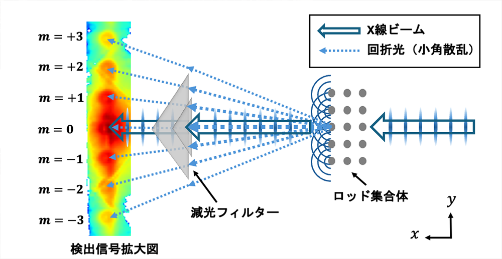 図２. ビームストップフリーX線小角散乱法の原理図。検出信号の左に記載されているmは回折次数を表す。本実験で用いた減光フィルターは、一定の厚みをもつ三角形状の金属薄板を重ね合わせることで、中心部ほど厚くなるように構成される。フィルターを三角形状にすることで、重ね合わせる位置に応じて減光領域を細かく調整することが可能。