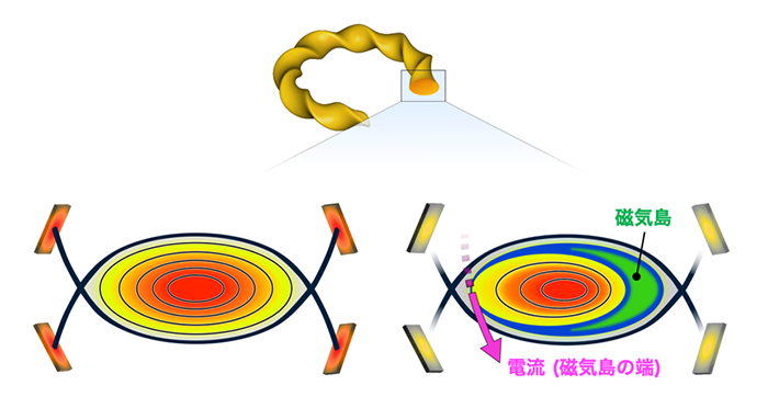 LHD プラズマ(上)の断面図