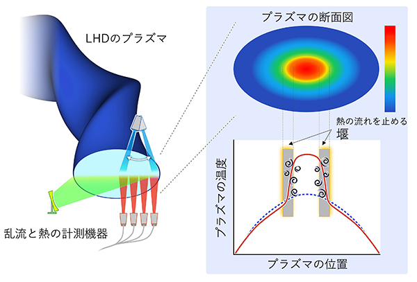 図１ LHDプラズマの断面図