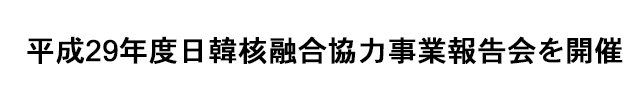 平成29年度日韓核融合協力事業報告会を開催