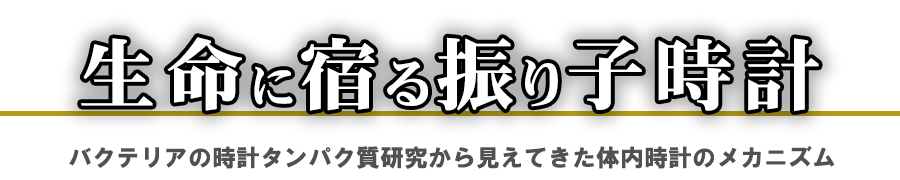 生命に宿る振り子時計