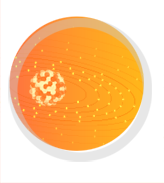 Plasma Quantum Processes