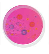 Plasma Apparatus