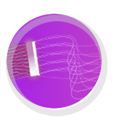 Ultrahigh-flux Concerting Materials