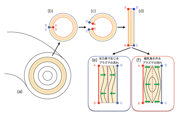 図１　プラズマ断面の模式図