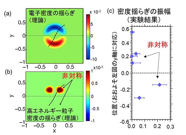 プラズマの断面で電子や高エネルギー粒子の密度がどのように変動するかを理論によって予測した結果