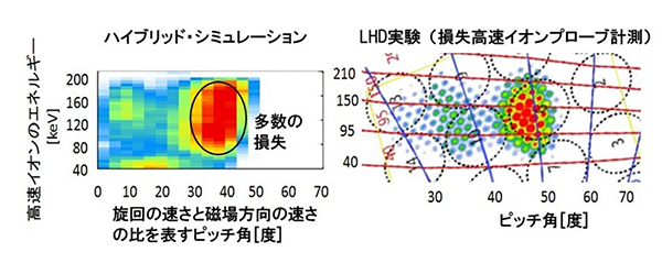 図　プラズマから損失した高速水素イオンについてのハイブリッド・シミュレーションとLHD実験との比較