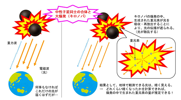 宇宙の重元素の起源に迫る光の分析を可能に～最高精度の原子過程データを計算～