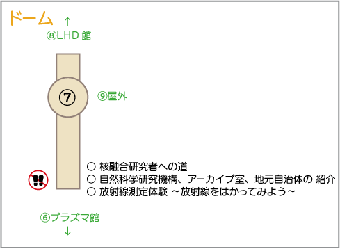 ドーム